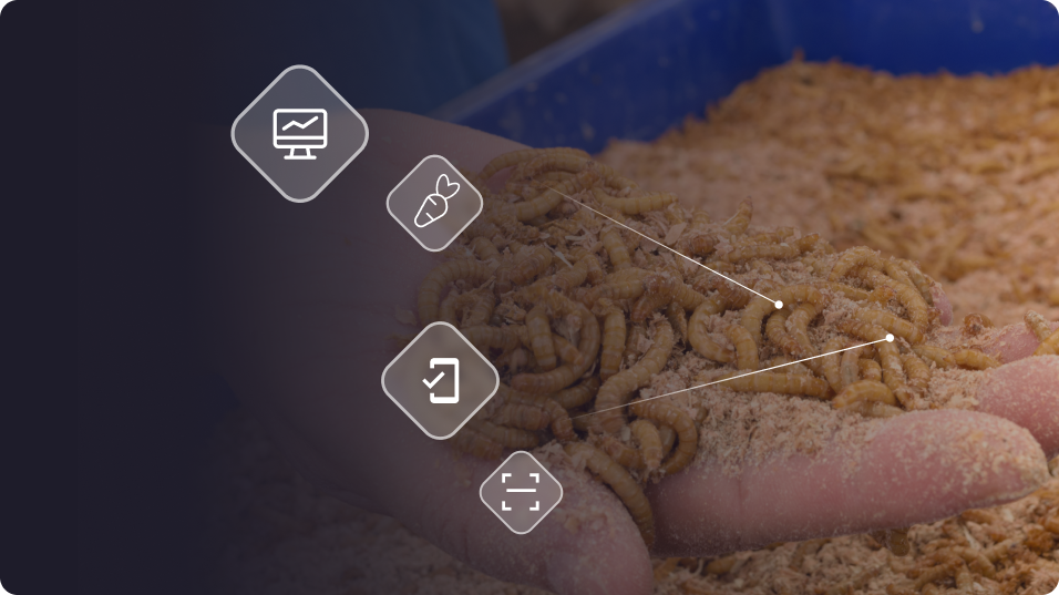 Traceability: Compliance and Risk Mitigation in Insect Farming