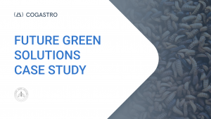 Read more about the article Case study: Future Green Solutions
