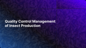 Read more about the article Quality Control Management of Insect Production
