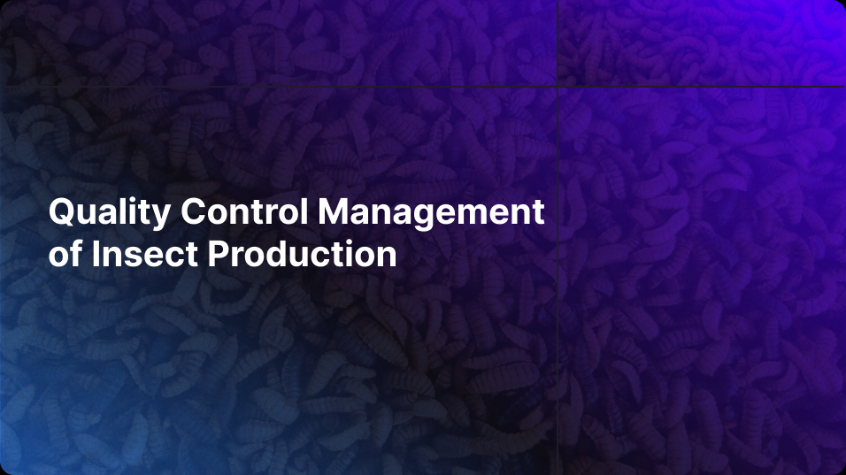 Quality Control Management of Insect Production